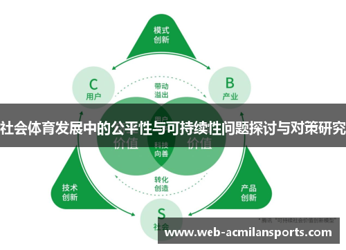 社会体育发展中的公平性与可持续性问题探讨与对策研究