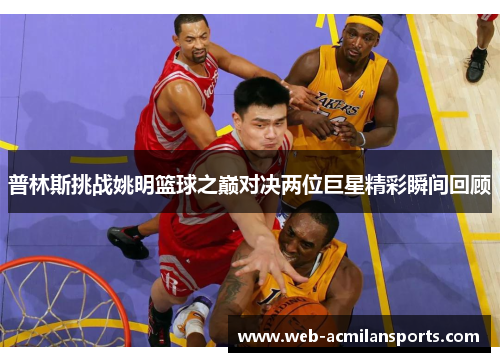 普林斯挑战姚明篮球之巅对决两位巨星精彩瞬间回顾