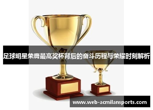 足球明星荣膺最高奖杯背后的奋斗历程与荣耀时刻解析
