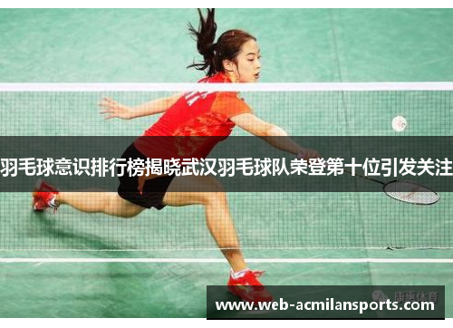 羽毛球意识排行榜揭晓武汉羽毛球队荣登第十位引发关注