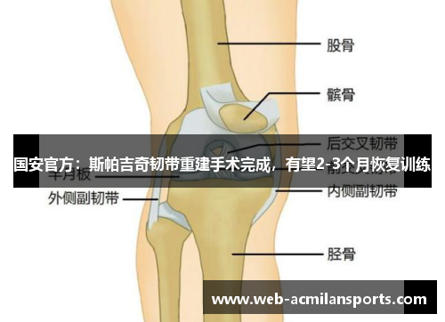 国安官方：斯帕吉奇韧带重建手术完成，有望2-3个月恢复训练