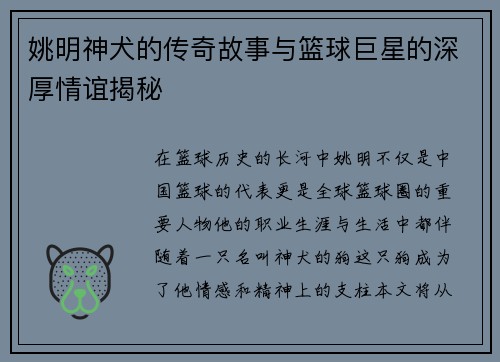 姚明神犬的传奇故事与篮球巨星的深厚情谊揭秘